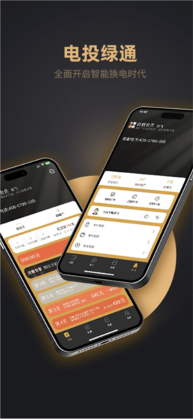 电投绿通1