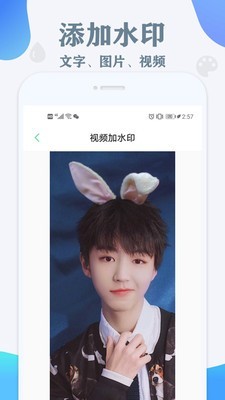 视频水印消除2