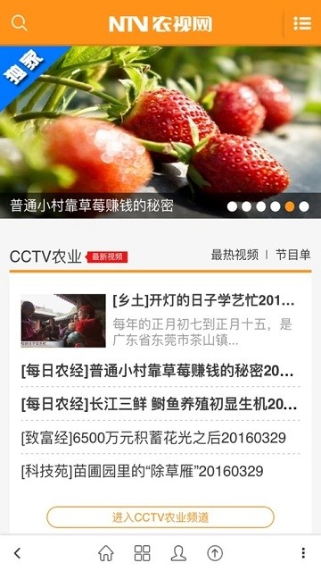 农视网截图1