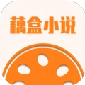 藕盒小说安卓官方版