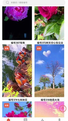 左拍3