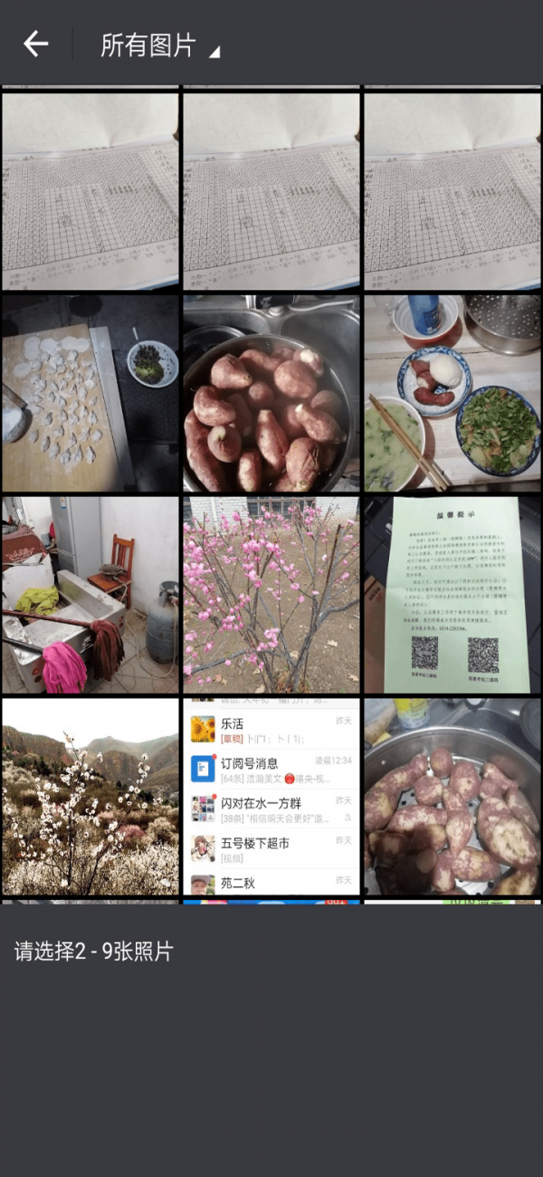 小葡萄截图1