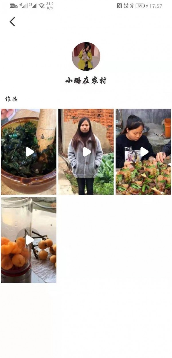 锤子视频截图3