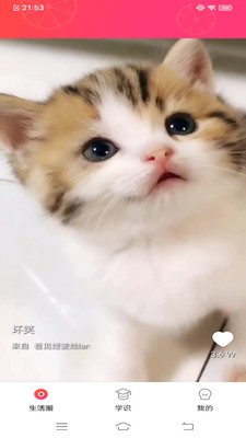 甜柚视频截图1