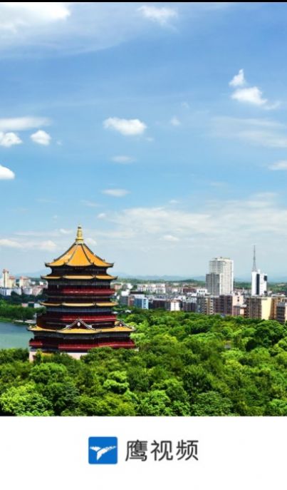 鹰视频最新版截图3