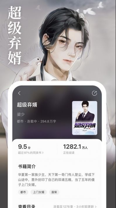 琅阅小说1