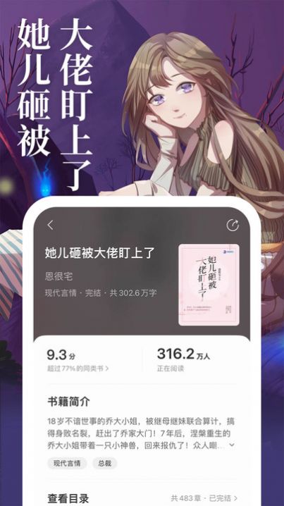 琅阅小说2