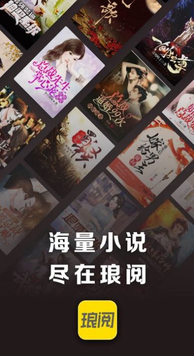 琅阅小说4