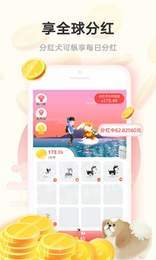 小淘世界3