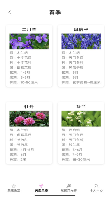 美趣特效截图1