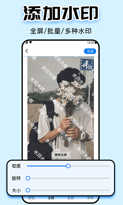 水印大师截图