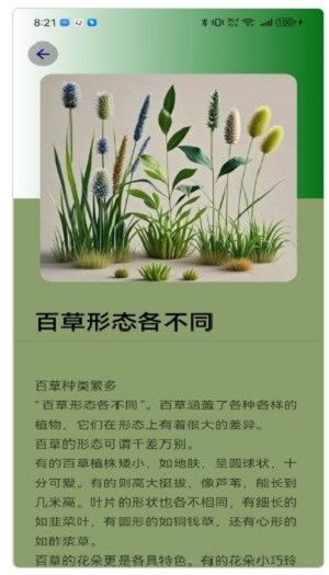百草大师1