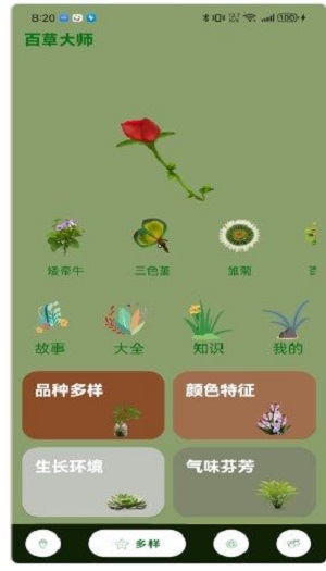 百草大师3