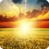 陽光高考網(wǎng)2026