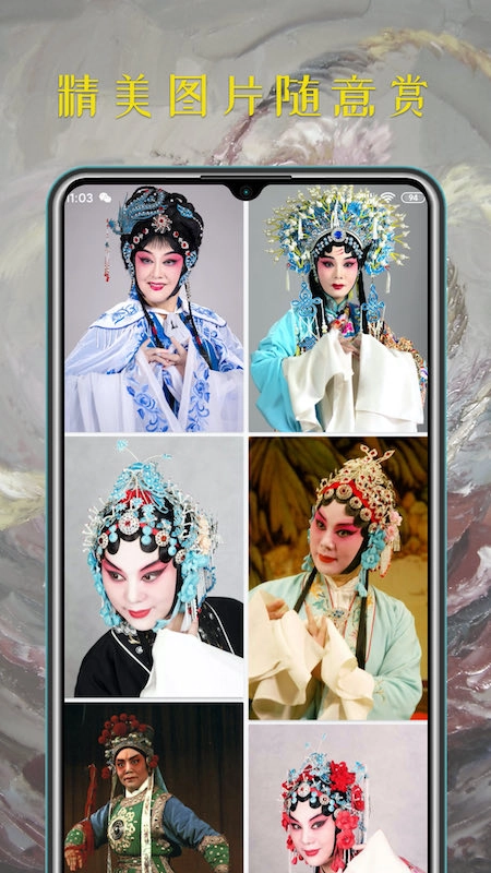 豫剧迷官方正版图3