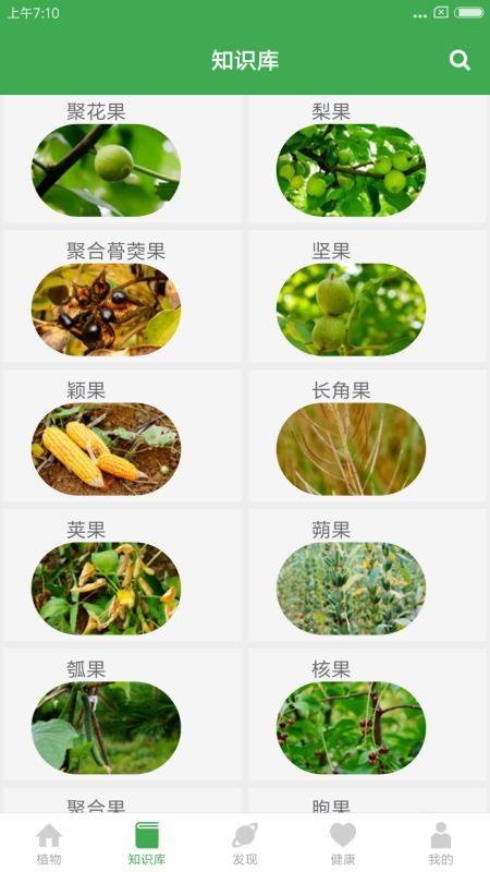 植物百科截图1