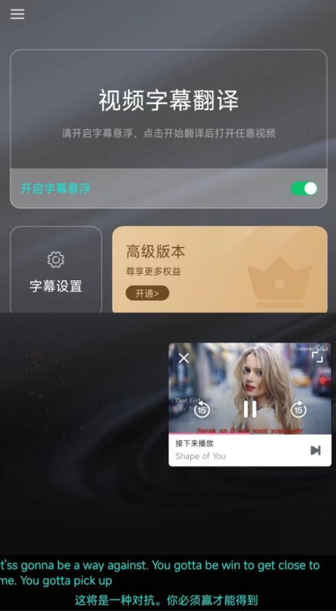 实时字幕翻译截图0
