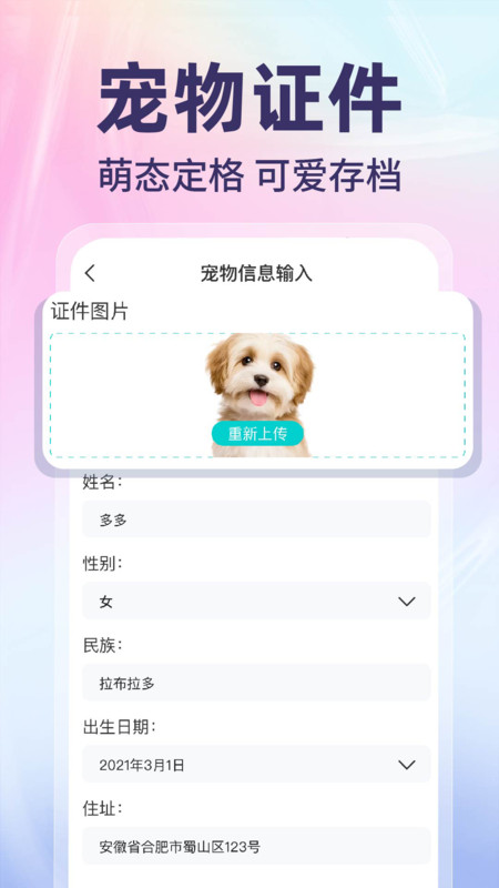 网络电子证件管家最新版截图1
