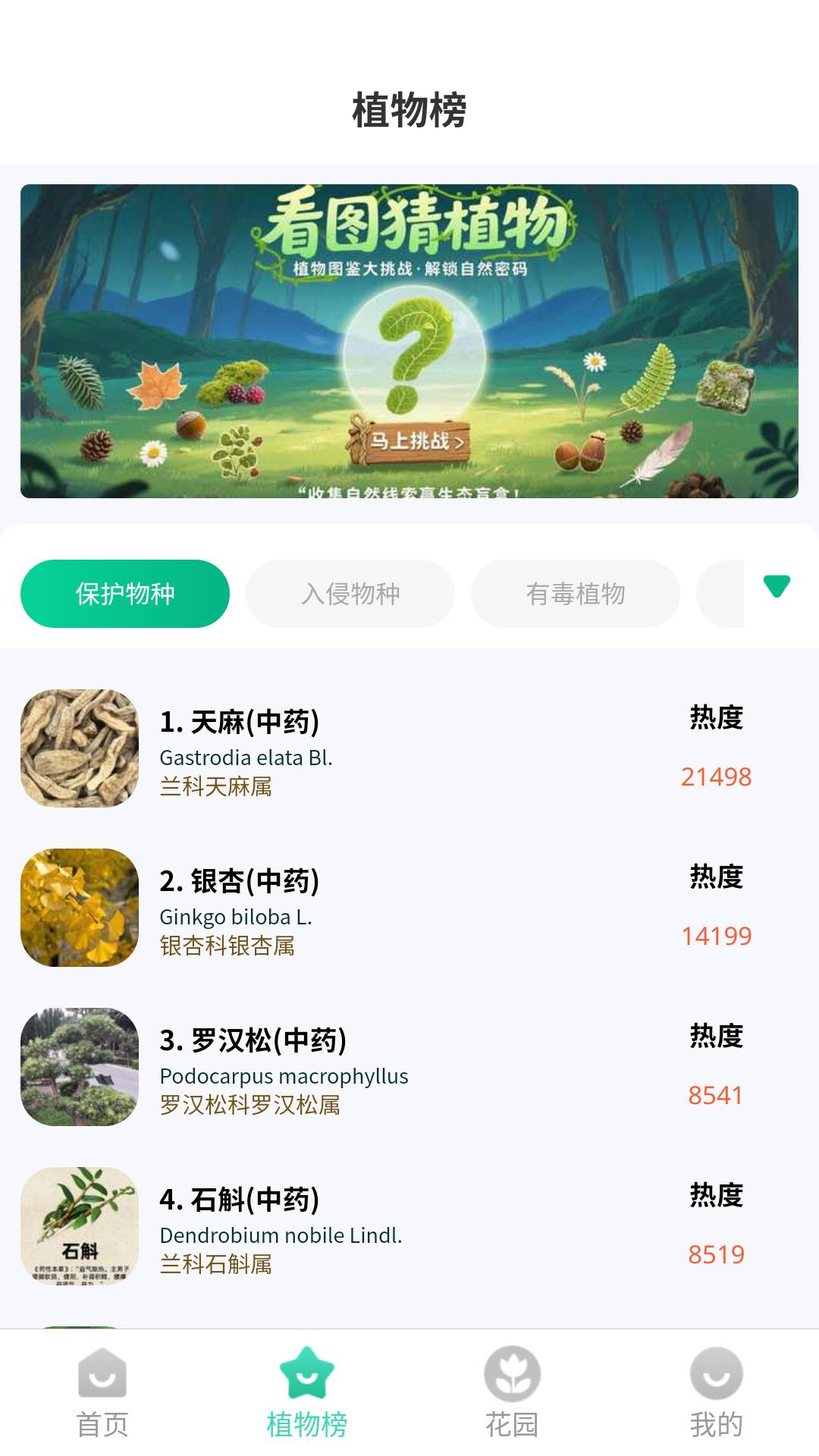 本草植物识别1