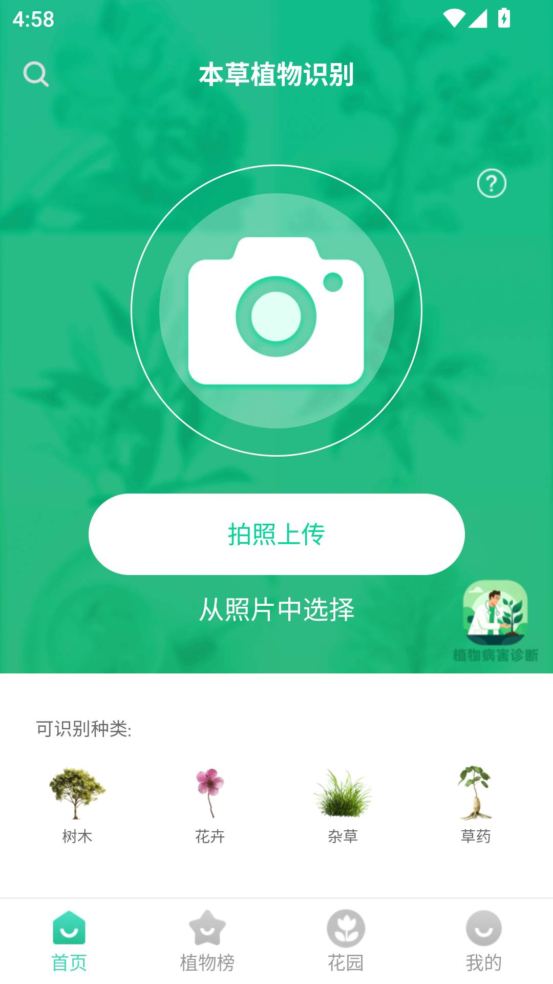 本草植物识别3