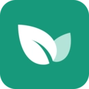 青藤之恋安卓版