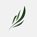 东南小说手机免费版