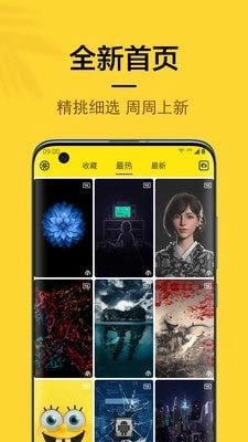 橙子4d动态壁纸最新免费版图2