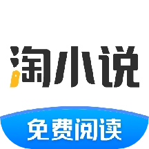 淘小说原版