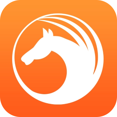 天马浏览器官方正版