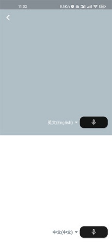 字节引擎翻译截图1