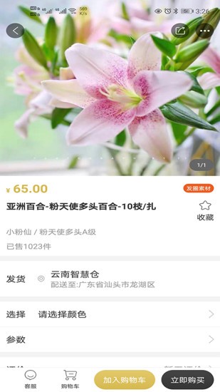 花店云仓4