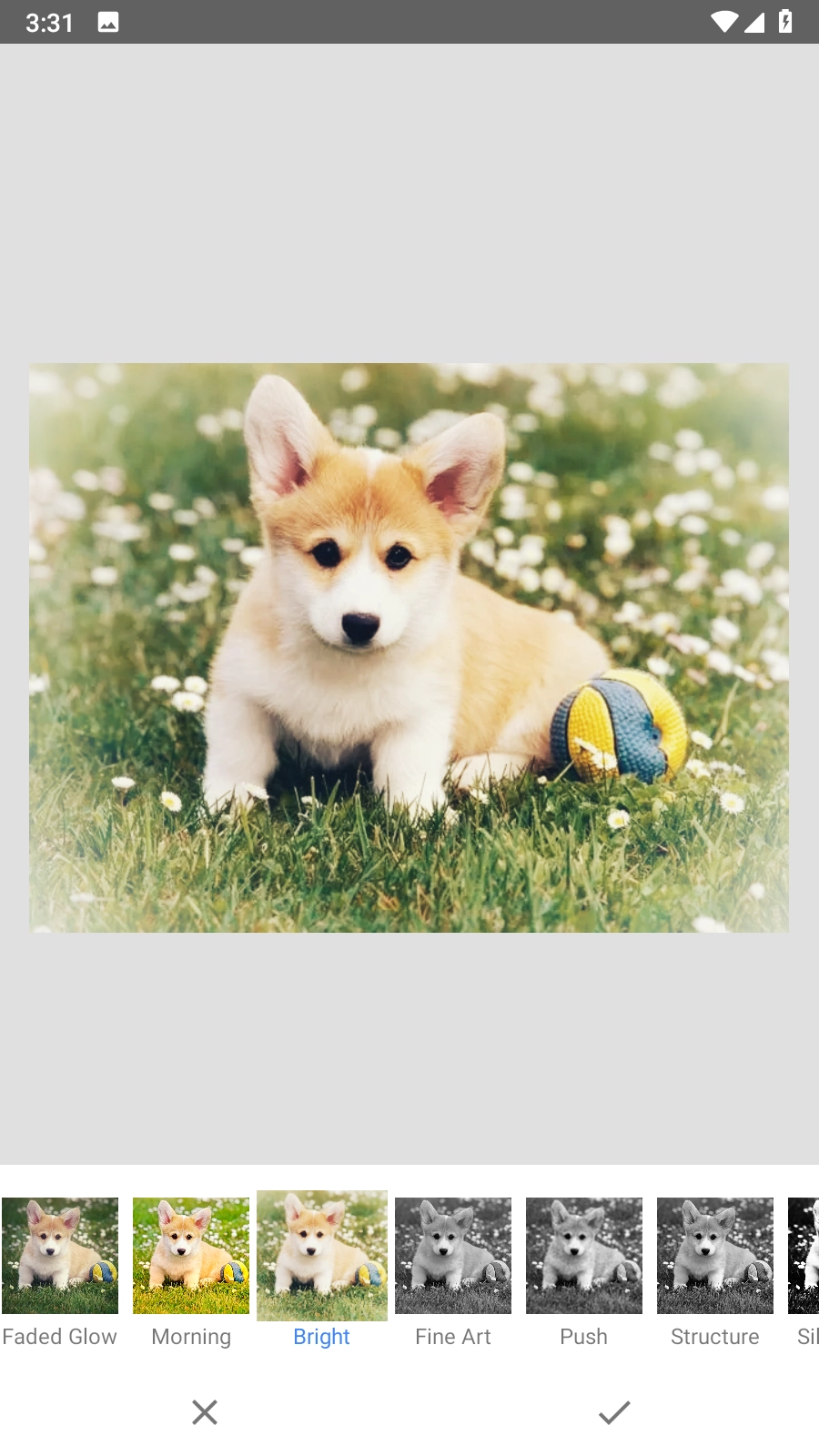 snapseed谷歌版(4)