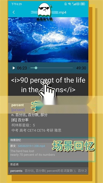 单词播放器软件1