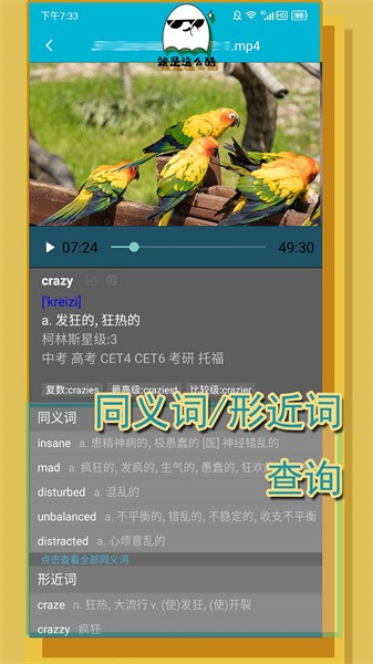 单词播放器软件4