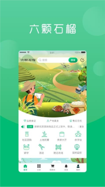 六棵石榴截图1