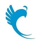 飞鱼接码平台手机免费版