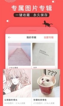 堆糖软件最新版图3