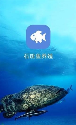 石斑鱼养殖截图0