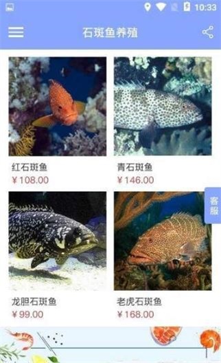 石斑鱼养殖截图1