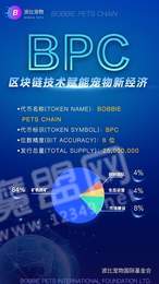 波比宠物截图1