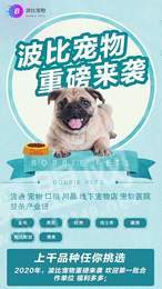 波比宠物截图2