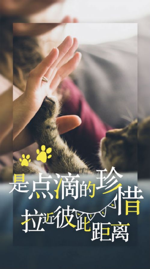 kok截图2