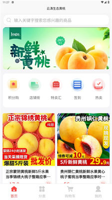云滇生态黄桃2