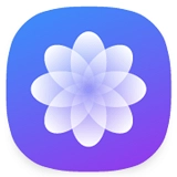 墨鱼主题商店直装版