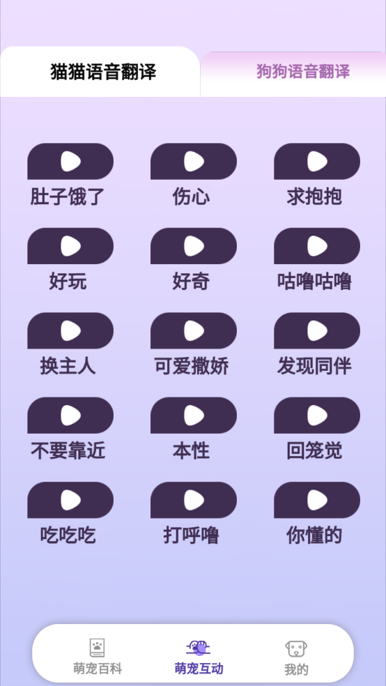 乖宠互动3