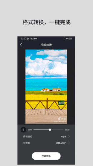 万能视频格式转换器2