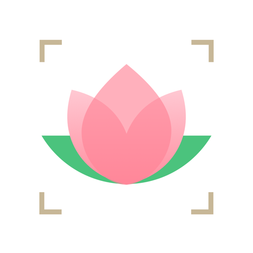 识花