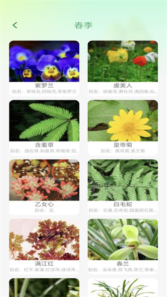 妙看四季截图0
