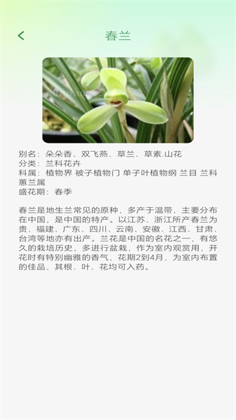 妙看四季截图2