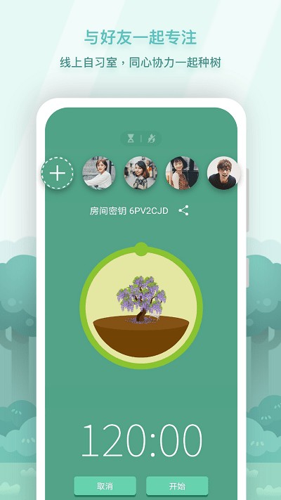 forest专注森林截图1